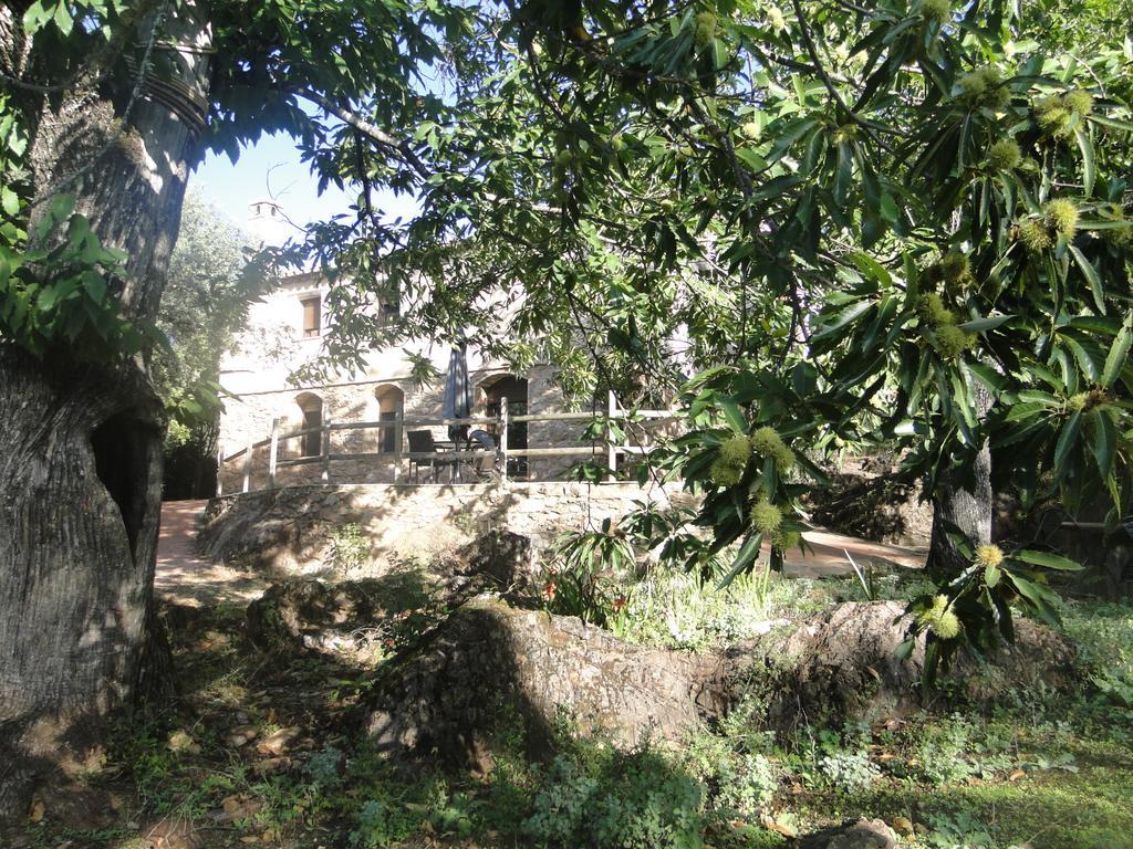 Finca La Colora Fuenteheridos Εξωτερικό φωτογραφία